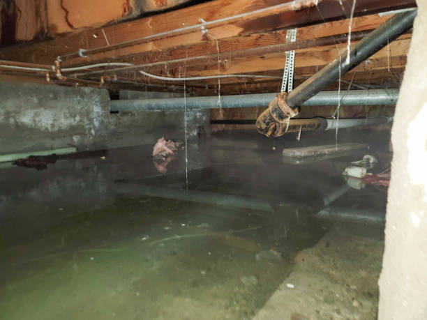Best Commercial water damage restoration  in Hinsdale, IL