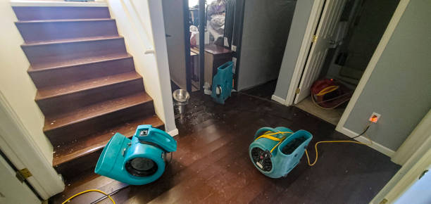 Best Flood restoration services  in Hinsdale, IL