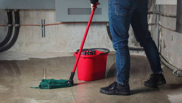 Best Sewage cleanup and water damage restoration  in Hinsdale, IL