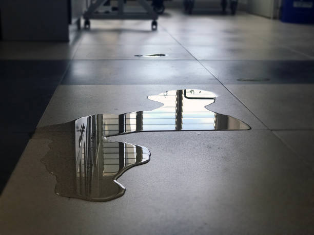 Best Emergency water damage restoration  in Hinsdale, IL