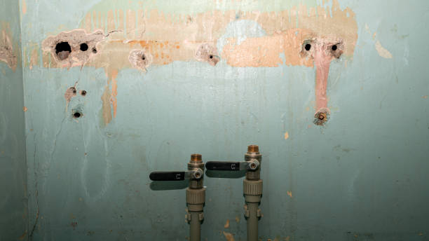 Best Fire Damage Restoration  in Hinsdale, IL