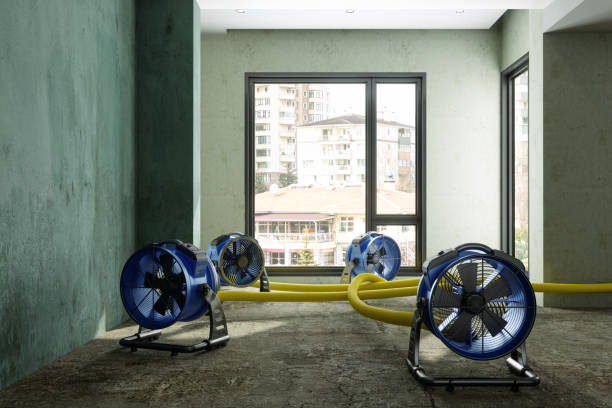 Best Residential water damage restoration  in Hinsdale, IL